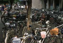 Bicycles in Beijing