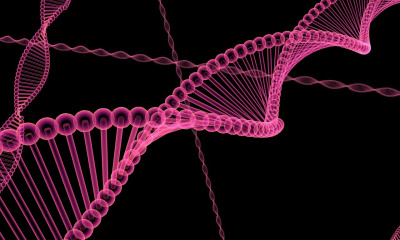 DrupalCon, presentation, ECA Module, automation, recording